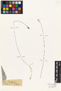 SW_BNB_s3010-04882_IMG-0000000001