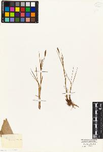 SW_BNB_s3010-04883_IMG-0000000001