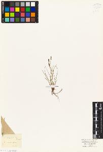 SW_BNB_s3010-04884_IMG-0000000001