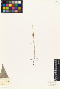 SW_BNB_s3010-04885_IMG-0000000001