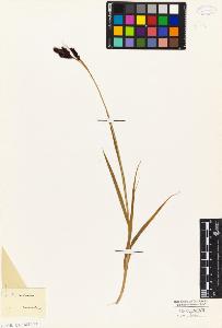 SW_BNB_s3010-04886_IMG-0000000001