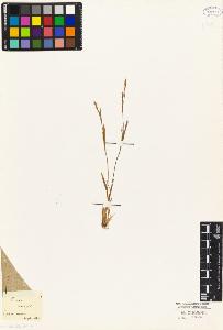 SW_BNB_s3010-04887_IMG-0000000001