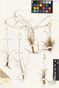SW_BNB_s3010-04889_IMG-0000000001