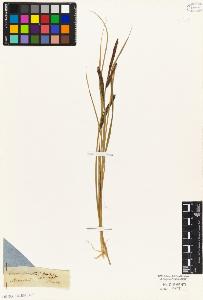 SW_BNB_s3010-04891_IMG-0000000001