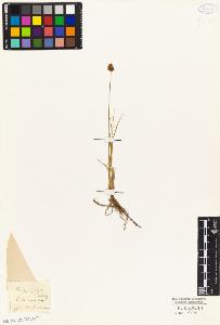 SW_BNB_s3010-04892_IMG-0000000001