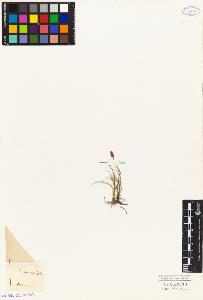 SW_BNB_s3010-04893_IMG-0000000001