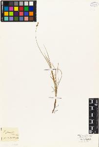 SW_BNB_s3010-04896_IMG-0000000001