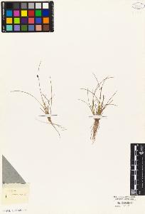 SW_BNB_s3010-04900_IMG-0000000001