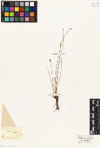 SW_BNB_s3010-04901_IMG-0000000001