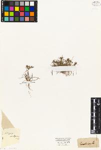 SW_BNB_s3010-04902_IMG-0000000001