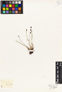 SW_BNB_s3010-04903_IMG-0000000001