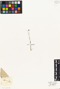 SW_BNB_s3010-04904_IMG-0000000001