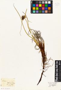 SW_BNB_s3010-04905_IMG-0000000001