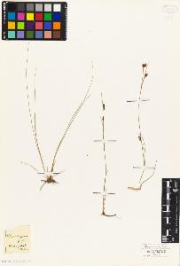 SW_BNB_s3010-04906_IMG-0000000001