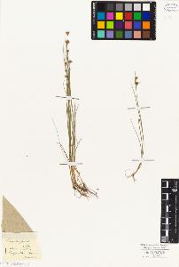 SW_BNB_s3010-04907_IMG-0000000001