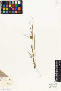 SW_BNB_s3010-04908_IMG-0000000001