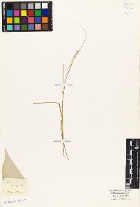 SW_BNB_s3010-04909_IMG-0000000001