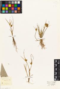 SW_BNB_s3010-04911_IMG-0000000001