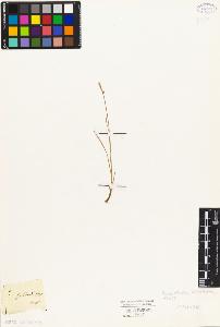 SW_BNB_s3010-04912_IMG-0000000001