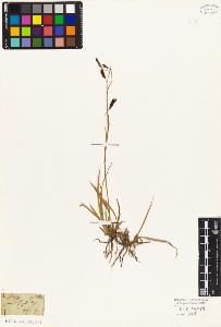 SW_BNB_s3010-04914_IMG-0000000001