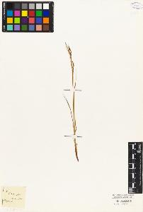 SW_BNB_s3010-04916_IMG-0000000001