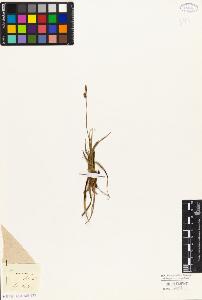 SW_BNB_s3010-04918_IMG-0000000001