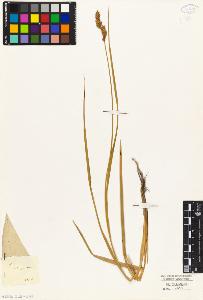 SW_BNB_s3010-04919_IMG-0000000001