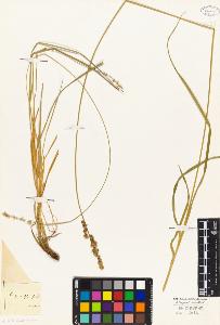 SW_BNB_s3010-04920_IMG-0000000001