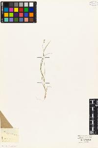 SW_BNB_s3010-04921_IMG-0000000001