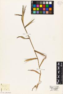 SW_BNB_s3010-04925_IMG-0000000001
