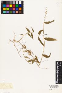 SW_BNB_s3010-04928_IMG-0000000001