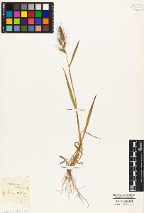SW_BNB_s3010-04929_IMG-0000000001