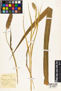 SW_BNB_s3010-04930_IMG-0000000001