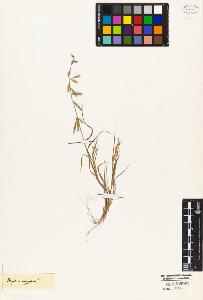 SW_BNB_s3010-04932_IMG-0000000001
