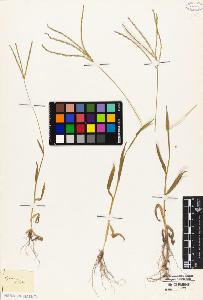 SW_BNB_s3010-04933_IMG-0000000001