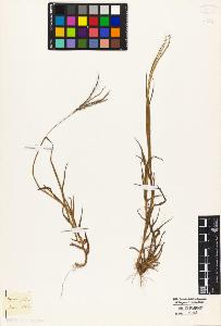 SW_BNB_s3010-04934_IMG-0000000001
