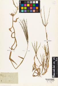 SW_BNB_s3010-04935_IMG-0000000001