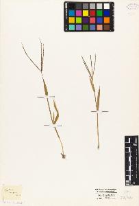 SW_BNB_s3010-04936_IMG-0000000001