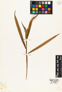 SW_BNB_s3010-04938_IMG-0000000001