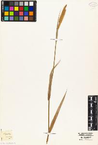SW_BNB_s3010-04940_IMG-0000000001
