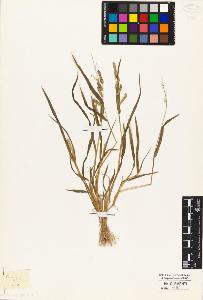 SW_BNB_s3010-04942_IMG-0000000001