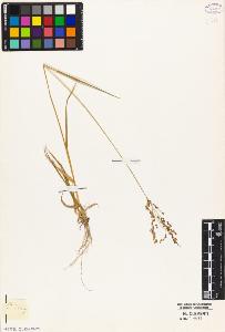 SW_BNB_s3010-04944_IMG-0000000001