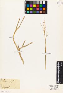 SW_BNB_s3010-04947_IMG-0000000001