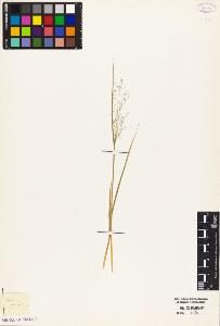 SW_BNB_s3010-04948_IMG-0000000001