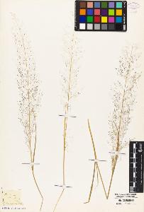SW_BNB_s3010-04949_IMG-0000000001