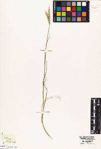 SW_BNB_s3010-04954_IMG-0000000001