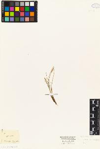 SW_BNB_s3010-04956_IMG-0000000001