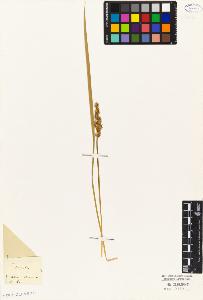 SW_BNB_s3010-04957_IMG-0000000001