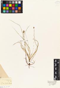 SW_BNB_s3010-04958_IMG-0000000001