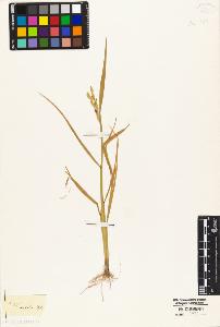 SW_BNB_s3010-04960_IMG-0000000001